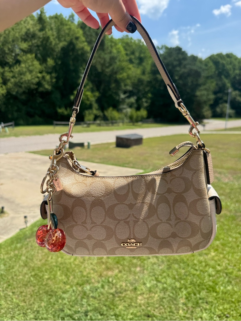 Coach Pennie Shoulder Bag 25 in Signature Canvas